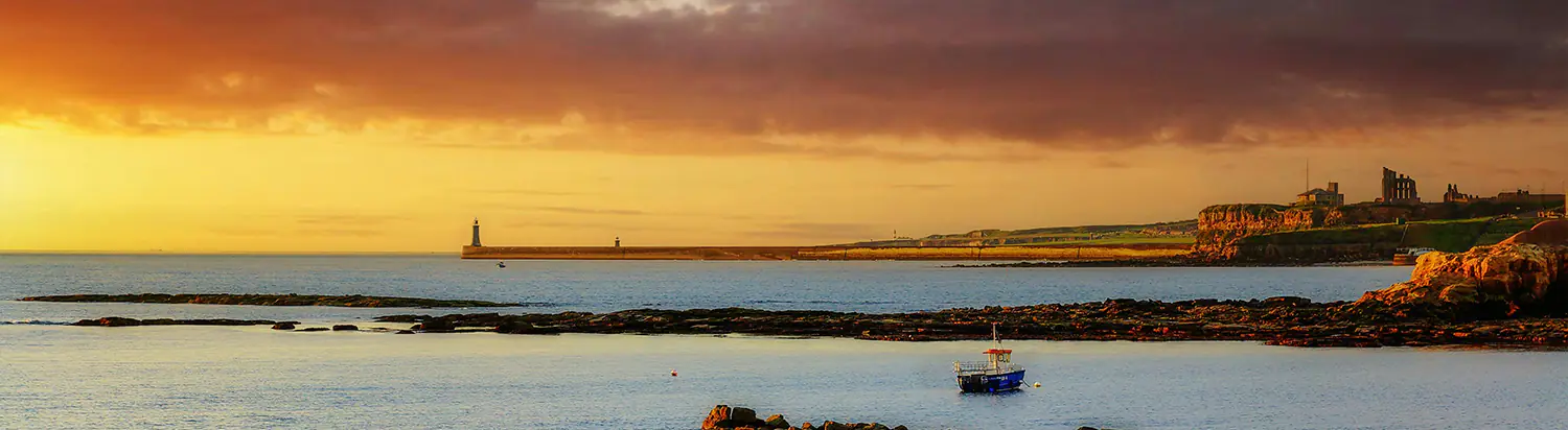 Waste Management In Tynemouth